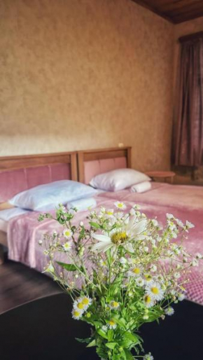 guest house zizi